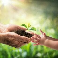Old Man Giving Young Plant To A Child Environmental Protection For New Generation